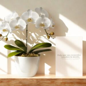 Bono de Orquideas Deja que sus Recuerdos