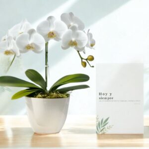Bono de Orquideas - Hoy y Siempre